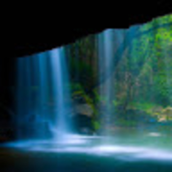 Meet your Posher, Darcy - Picture 1 of 1